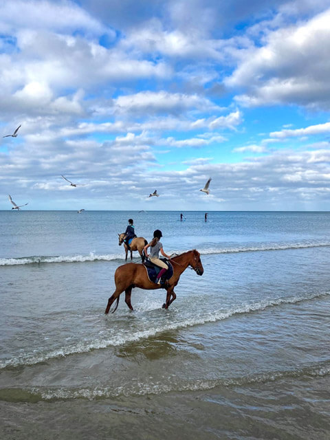 Balade à cheval sur la plage, Baie de St-Brieuc